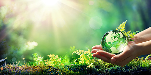 Hands Holding Globe Glass In Green Forest Environment Concept Element Of Image Furnished By Nasa