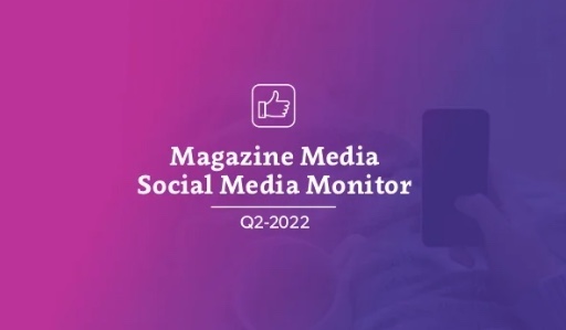 Mma Social Media Monitor 2022