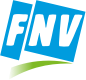 Fnv Logo