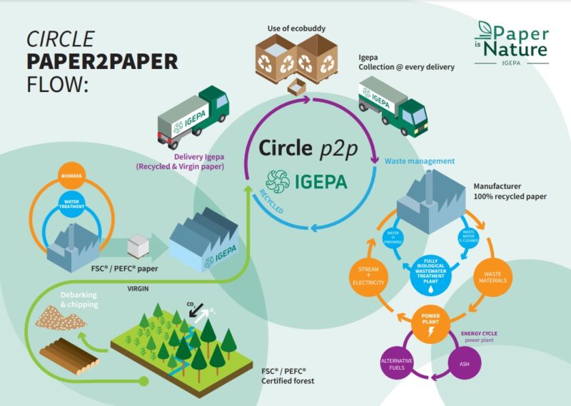 Infographic Igepa Paper2paper Flow
