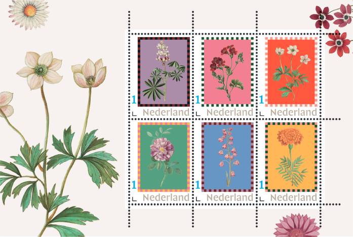 Bloemengroet Postzegels N Tcm10 233003