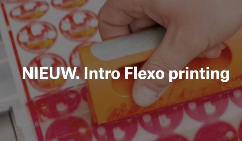 Vigc Flexo Printing