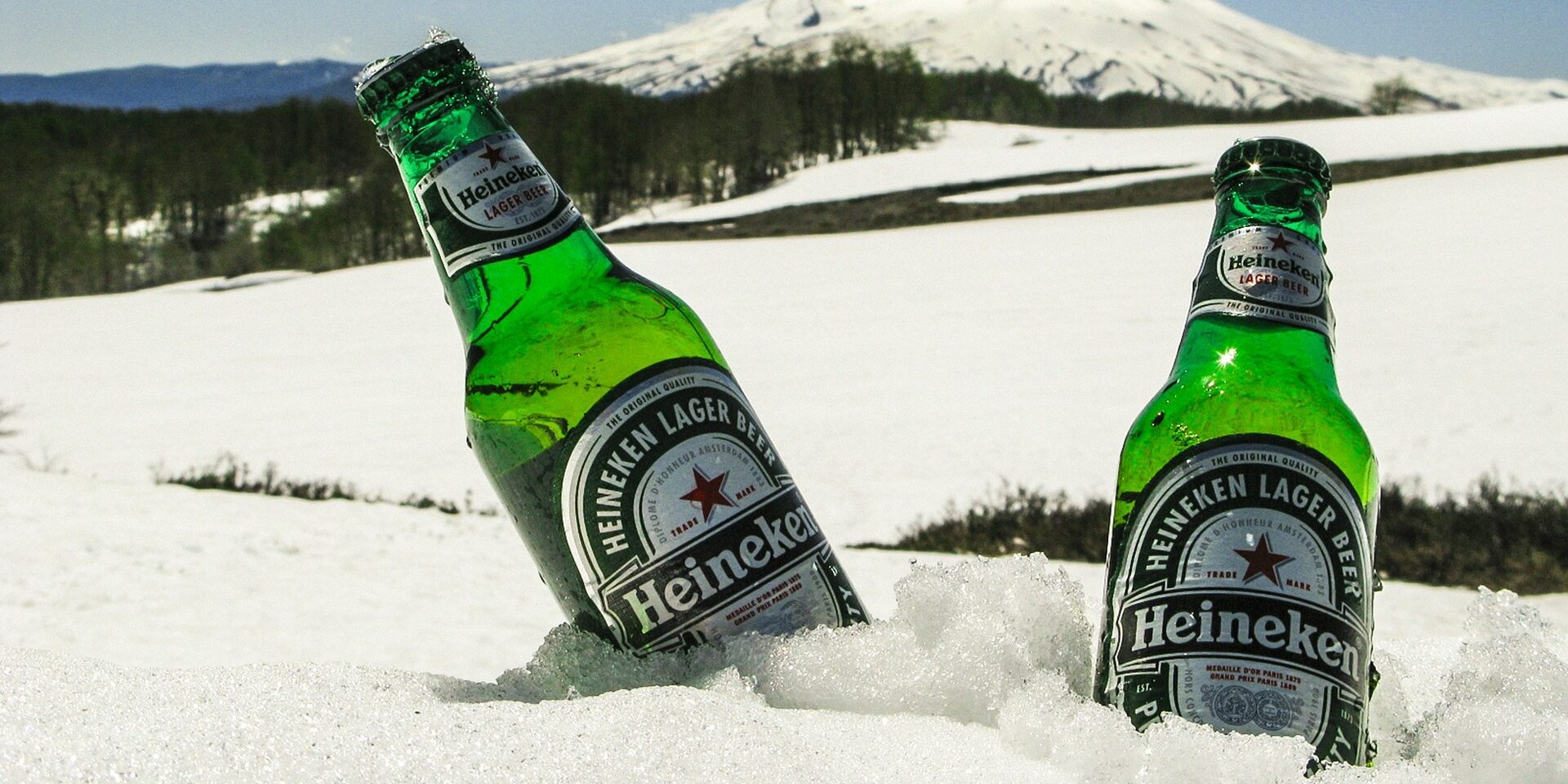 Beer 210197 1920