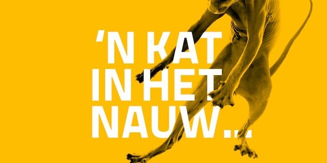 Control Media Kat In Het Nauw