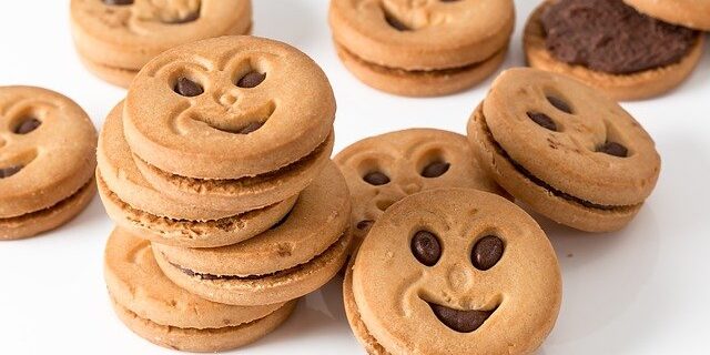 Cookie 3216243 640
