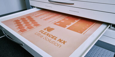 kodak-flexo