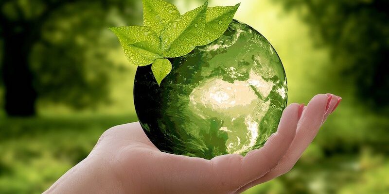 Recycled Paper