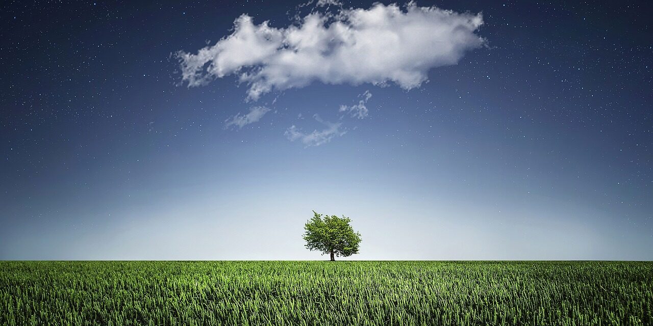 tree-736887_1280
